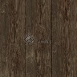 kiwi now  40KN542 Ruby Oak Brown