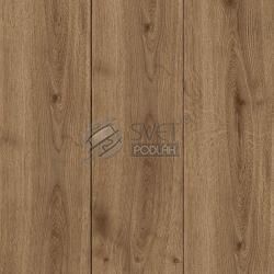 kiwi now  40KN782 Jalon Oak
