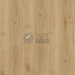 kiwi now  40KN792 Adaja Oak