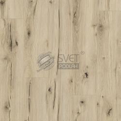 CLASSEN ARTEO 8M 62748 DUB DAMARA