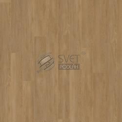 kiwi now  81KN092 Absolut Oak Brown
