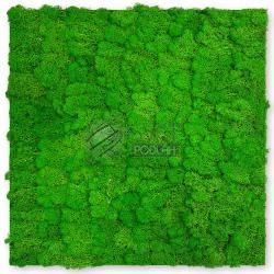 JANGAL MODULAR WALL - NATURE MOSS 11101 Rich Green