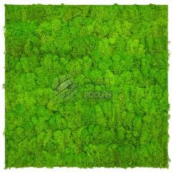 JANGAL MODULAR WALL - NATURE MOSS 11102 Bright Green