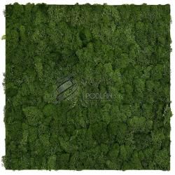 JANGAL MODULAR WALL - NATURE MOSS 11103 Dark Green