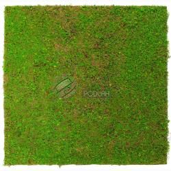 JANGAL MODULAR WALL - NATURE DESIGN FLORA 11106 Light Green Cocount