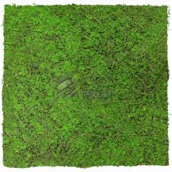 JANGAL MODULAR WALL - NATURE DESIGN FLORA 11107 Forest Green Ancient Tree