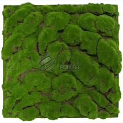 JANGAL MODULAR WALL - DESIGN MOSS 11109 Forest Green Big Bulk