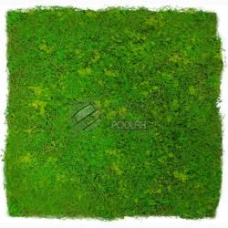 JANGAL MODULAR WALL - DESIGN MOSS 11110 Light Green Fibre