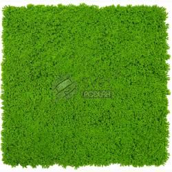 JANGAL MODULAR WALL - DESIGN MOSS 11121 Lime Green